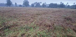 Sidlaghatta Fengal Cyclone Effect