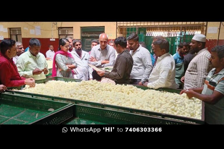Sidlaghatta Silk Cocoon Market Inspection