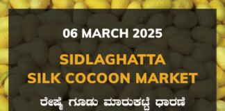 Sidlaghatta Silk Cocoon Market Price Rate ಶಿಡ್ಲಘಟ್ಟ ರೇಷ್ಮೆ ಗೂಡು ಮಾರುಕಟ್ಟೆ ಧಾರಣೆ