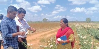 Sidlaghatta Pesticide Farmer Crop Loss
