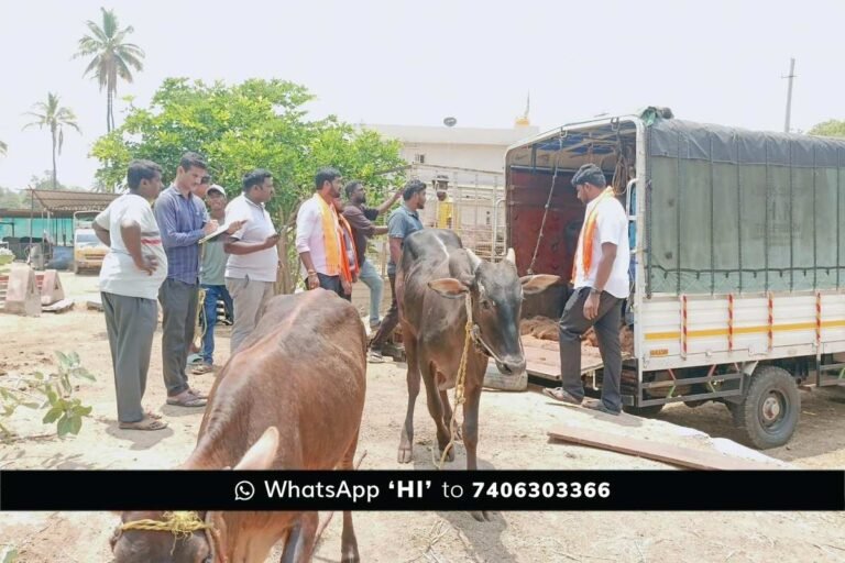 Sidlaghatta Illegal Cattle transport stopped
