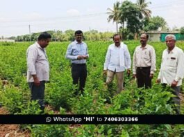 Sidlaghatta Silk Farmers Issues