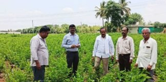 Sidlaghatta Silk Farmers Issues