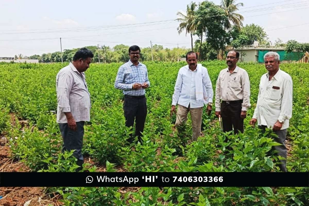 15MayS1 Sidlaghatta Silk Farmers Issues