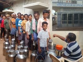 Malamachanahalli Dairy top milk producer