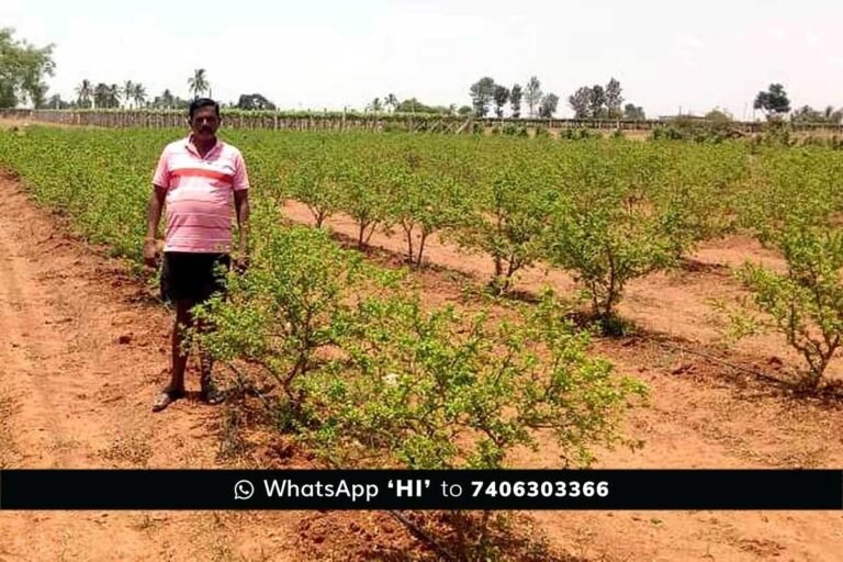 Sidlaghatta Farmers Summer Distress