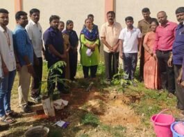 Sidlaghatta Hittalahalli Environment Day