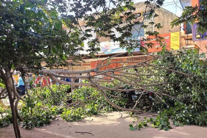 Sidlaghatta Tree Fall KSRTC Bus Stand