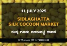 Sidlaghatta Silk Cocoon Market Price Rate ಶಿಡ್ಲಘಟ್ಟ ರೇಷ್ಮೆ ಗೂಡು ಮಾರುಕಟ್ಟೆ ಧಾರಣೆ
