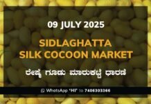 Sidlaghatta Silk Cocoon Market Price Rate ಶಿಡ್ಲಘಟ್ಟ ರೇಷ್ಮೆ ಗೂಡು ಮಾರುಕಟ್ಟೆ ಧಾರಣೆ