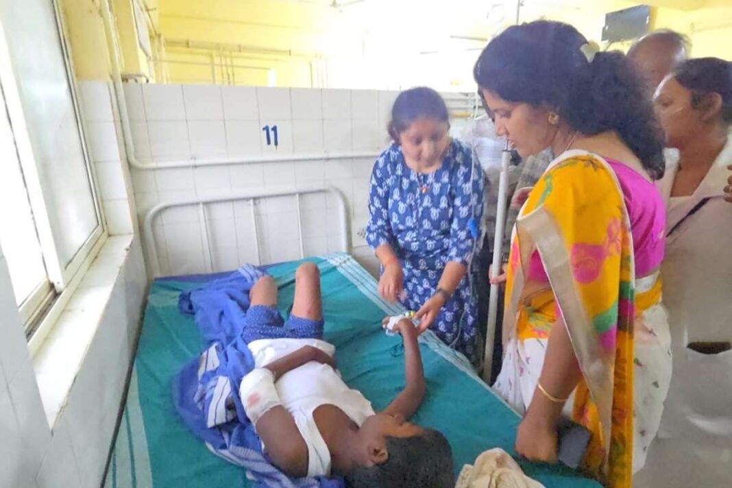Street dogs Bite Injured 13 year old boy