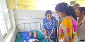 Street dogs Bite Injured 13 year old boy