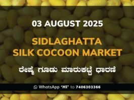 Sidlaghatta Silk Cocoon Market Price Rate ಶಿಡ್ಲಘಟ್ಟ ರೇಷ್ಮೆ ಗೂಡು ಮಾರುಕಟ್ಟೆ ಧಾರಣೆ