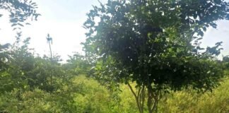 Silaghatta Jangamakote People Grievance