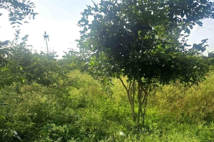 Silaghatta Jangamakote People Grievance