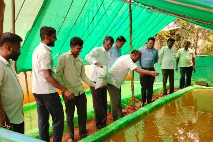 Sidlaghatta Azola cattle feed Awareness