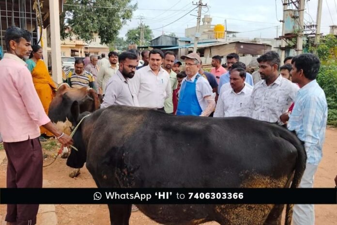 Sidlaghatta Malamachanahalli Cattle Health Camp
