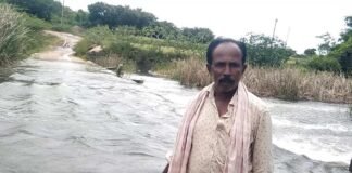 ಕೋಡಿ ಹರಿದ ರಾಮಸಮುದ್ರ ಕೆರೆ – ಹಳ್ಳಿಗಳ ರಸ್ತೆ ಸಂಪರ್ಕ ಕಡಿತ! Sidlaghatta Ramasamudra Lake Full Transportation to villages Cut
