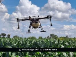 Sidlaghatta Drone Farm Pesticide Manure Spray
