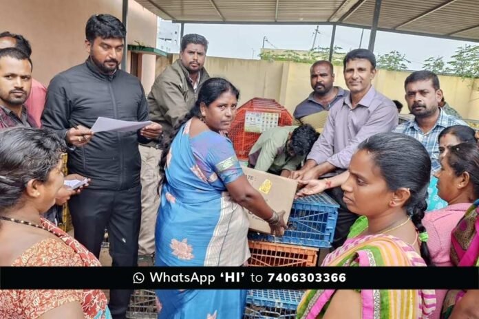 Sidlaghatta Country Chicken Farming promotion