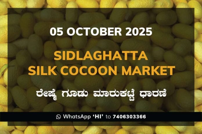 Sidlaghatta Silk Cocoon Market Price Rate ಶಿಡ್ಲಘಟ್ಟ ರೇಷ್ಮೆ ಗೂಡು ಮಾರುಕಟ್ಟೆ ಧಾರಣೆ
