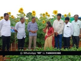 Kalanayakanahalli Sidlaghatta GKVK Students Field Work