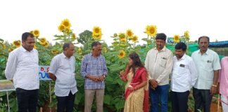 Kalanayakanahalli Sidlaghatta GKVK Students Field Work