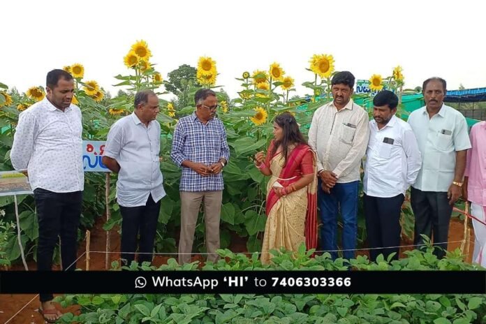 Kalanayakanahalli Sidlaghatta GKVK Students Field Work