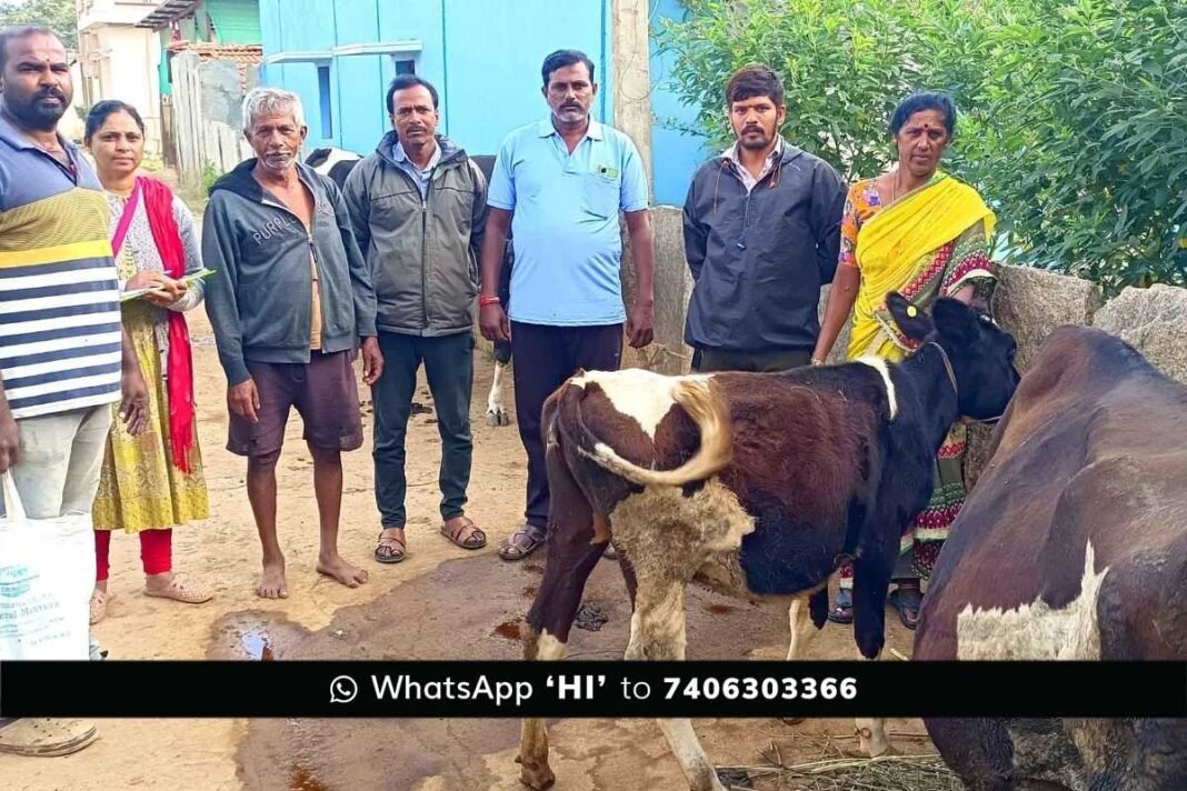 Sidlaghatta melur Foot and Mouth Disease awareness