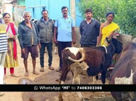 Sidlaghatta melur Foot and Mouth Disease awareness