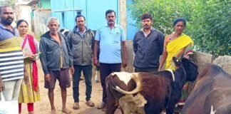 Sidlaghatta melur Foot and Mouth Disease awareness