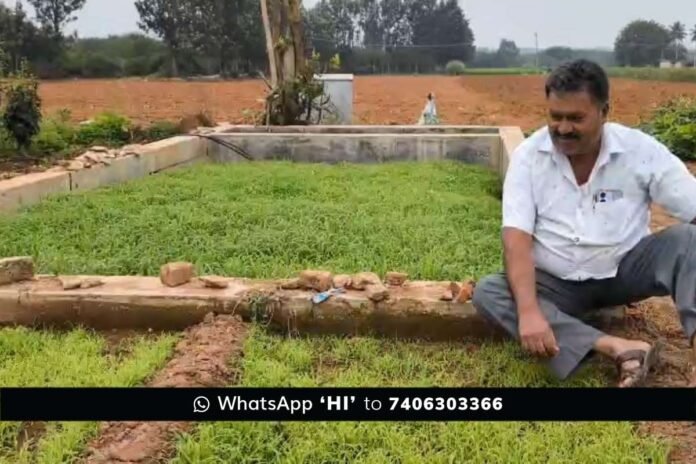 Sidlaghatta Farmer Bumper Crop Guni Method Ragi Farming