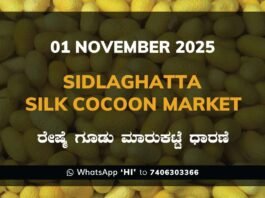 Sidlaghatta Silk Cocoon Market Price Rate ಶಿಡ್ಲಘಟ್ಟ ರೇಷ್ಮೆ ಗೂಡು ಮಾರುಕಟ್ಟೆ ಧಾರಣೆ
