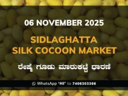 Sidlaghatta Silk Cocoon Market Price Rate ಶಿಡ್ಲಘಟ್ಟ ರೇಷ್ಮೆ ಗೂಡು ಮಾರುಕಟ್ಟೆ ಧಾರಣೆ