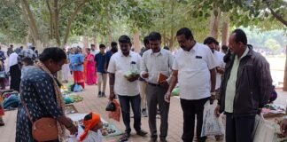 Sidlaghatta BGS School Makkala Santhe