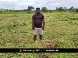 sidlaghatta Cyclone Ditwah ragi crop loss