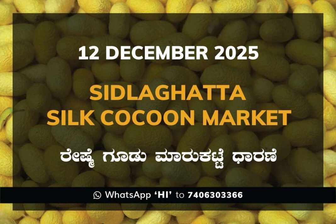 Sidlaghatta Silk Cocoon Market Price Rate ಶಿಡ್ಲಘಟ್ಟ ರೇಷ್ಮೆ ಗೂಡು ಮಾರುಕಟ್ಟೆ ಧಾರಣೆ