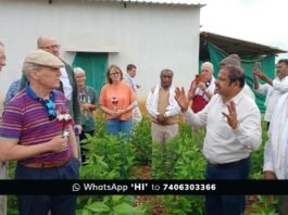 Swiss delegation observing silkworms at Hittalahalli farm with local farmers