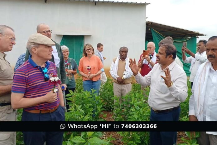 Swiss delegation observing silkworms at Hittalahalli farm with local farmers