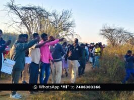 Sidlaghatta Bird Watching Documentation