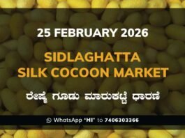 Sidlaghatta Silk Cocoon Market Price Rate ಶಿಡ್ಲಘಟ್ಟ ರೇಷ್ಮೆ ಗೂಡು ಮಾರುಕಟ್ಟೆ ಧಾರಣೆ