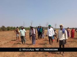 Basavapatna Forgery Land Illegal Occupation