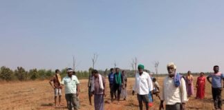 Basavapatna Forgery Land Illegal Occupation