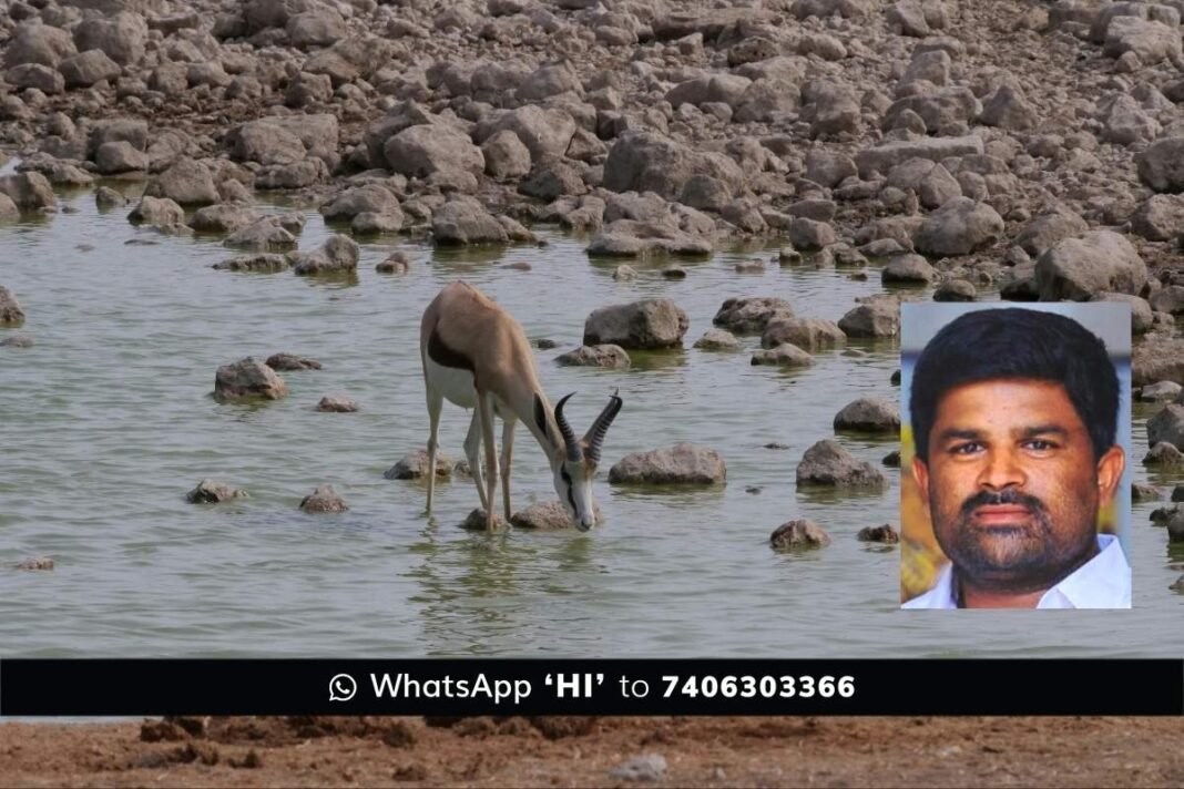 Sidlaghatta Forest Animals Drinking Water