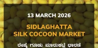 Sidlaghatta Silk Cocoon Market Price Rate ಶಿಡ್ಲಘಟ್ಟ ರೇಷ್ಮೆ ಗೂಡು ಮಾರುಕಟ್ಟೆ ಧಾರಣೆ