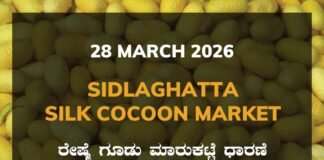 Sidlaghatta Silk Cocoon Market-28/03/2026 Sidlaghatta Silk Cocoon Market Price Rate ಶಿಡ್ಲಘಟ್ಟ ರೇಷ್ಮೆ ಗೂಡು ಮಾರುಕಟ್ಟೆ ಧಾರಣೆ