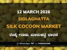 Sidlaghatta Silk Cocoon Market Price Rate ಶಿಡ್ಲಘಟ್ಟ ರೇಷ್ಮೆ ಗೂಡು ಮಾರುಕಟ್ಟೆ ಧಾರಣೆ