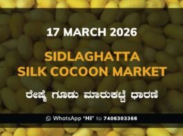 Sidlaghatta Silk Cocoon Market Price Rate ಶಿಡ್ಲಘಟ್ಟ ರೇಷ್ಮೆ ಗೂಡು ಮಾರುಕಟ್ಟೆ ಧಾರಣೆ