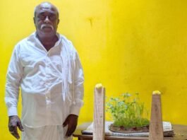 Sidlaghatta Pairu Habba Celebration