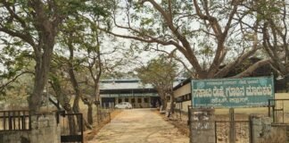 H Cross Silk Cocoon Market